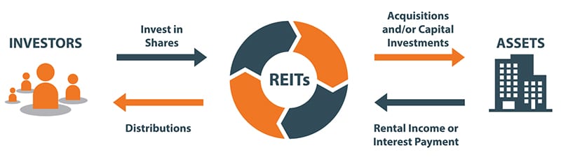 reit structure